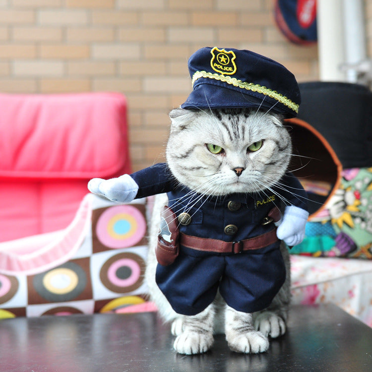 Funny Halloween Cat Costumes