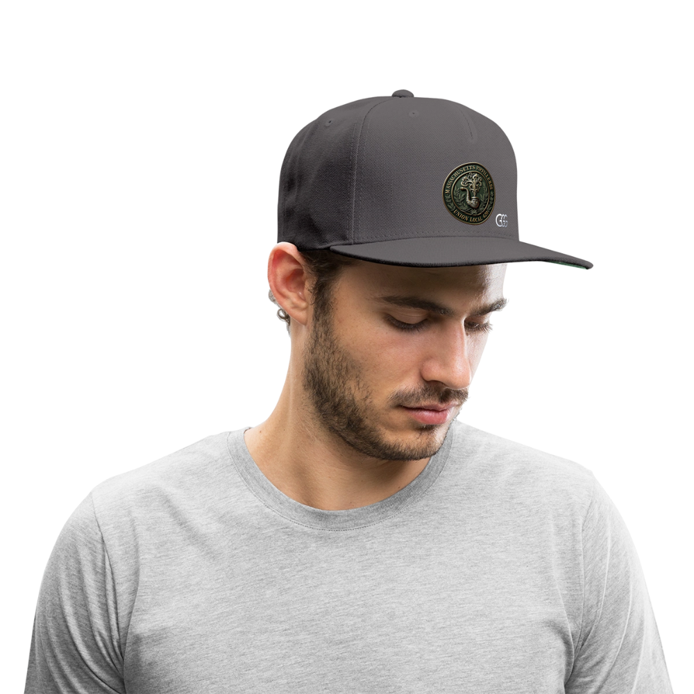 MASS PIEFILLERS UNION 420 Snapback Baseball Cap - dark grey