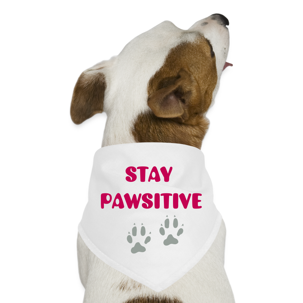 STAY PAWSITIVE Dog Bandana - white