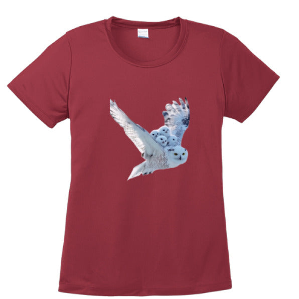 Cardinal - FRONT