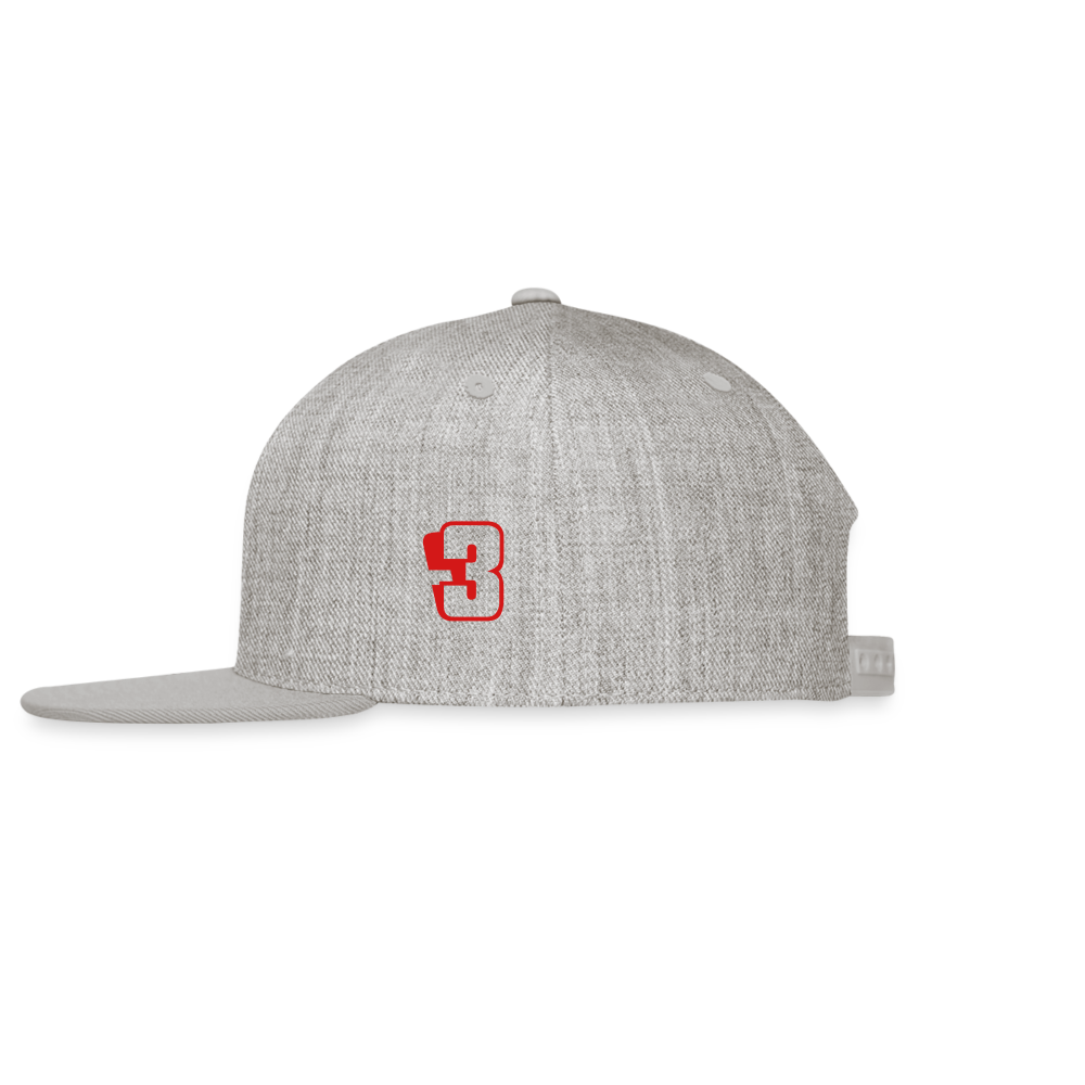 SIE CAPS "DIGGER" Original Snapback Baseball Cap - heather gray