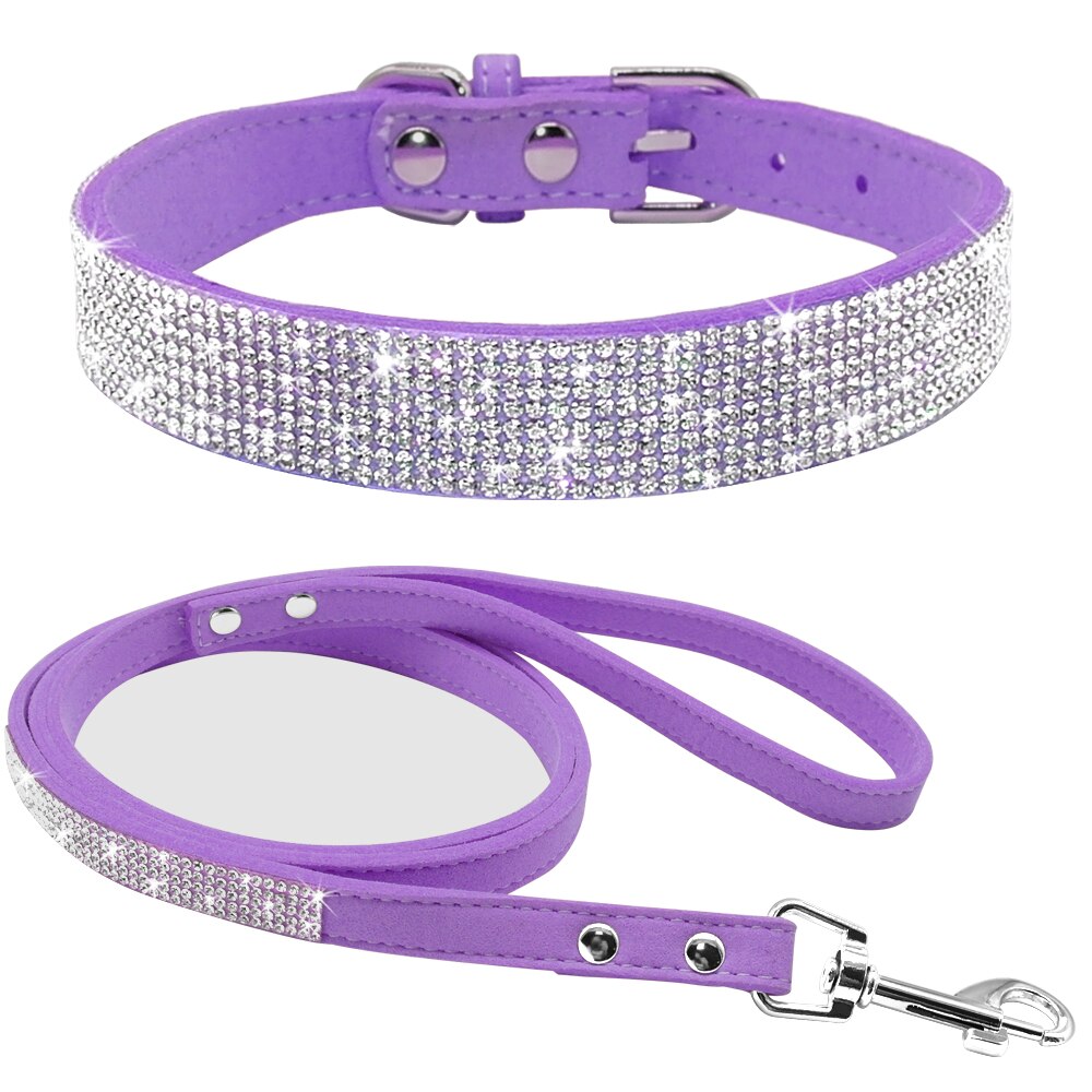 Pet Collar Leash Set "Puttin on the Ritz"