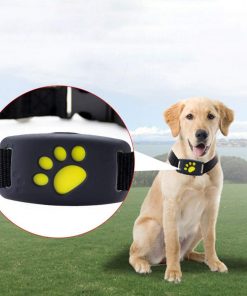GPS Pet Collar "BECAUSE YOU CARE" Amazing Accuracy Reaches Within 10M.