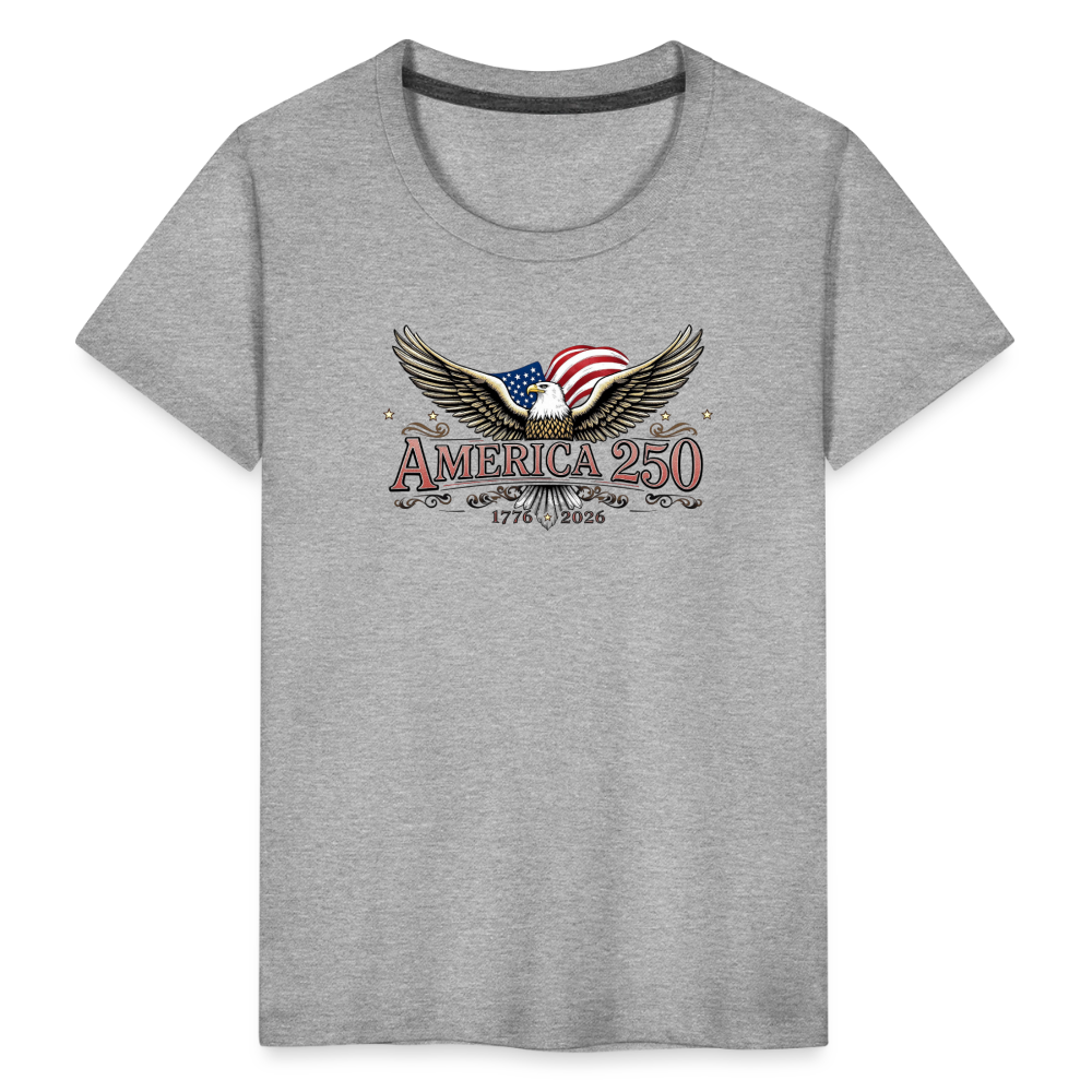 AMERICA 250 Toddler Premium T-Shirt - heather gray