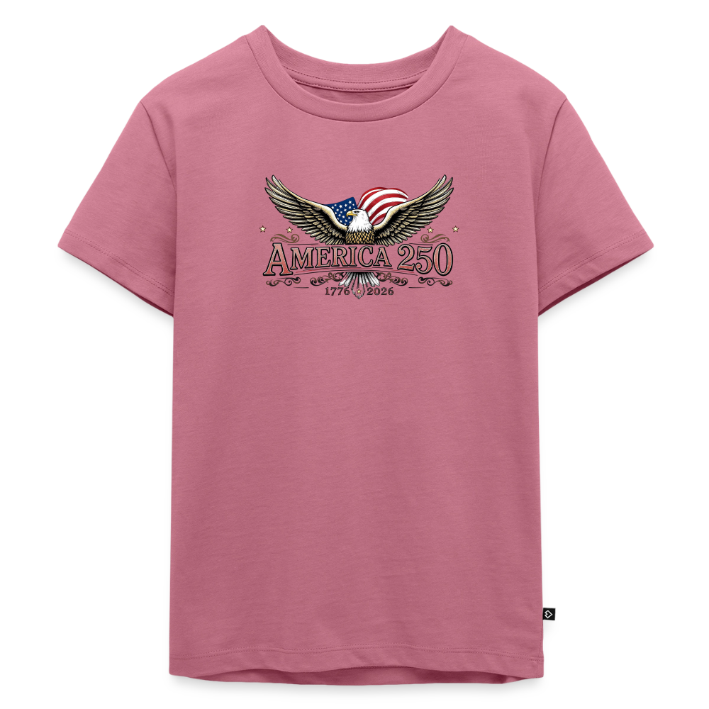 AMERICA 250 Toddler Premium T-Shirt - mauve