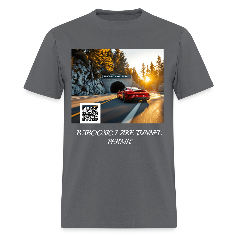 BABOOSIC LAKE TUNNEL PERMIT TEE - charcoal