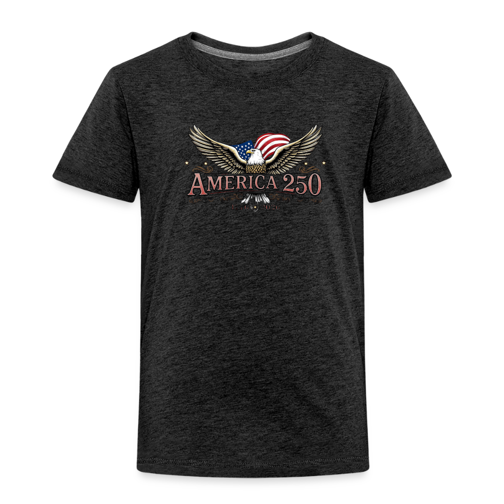AMERICA 250 Toddler Premium T-Shirt - charcoal grey