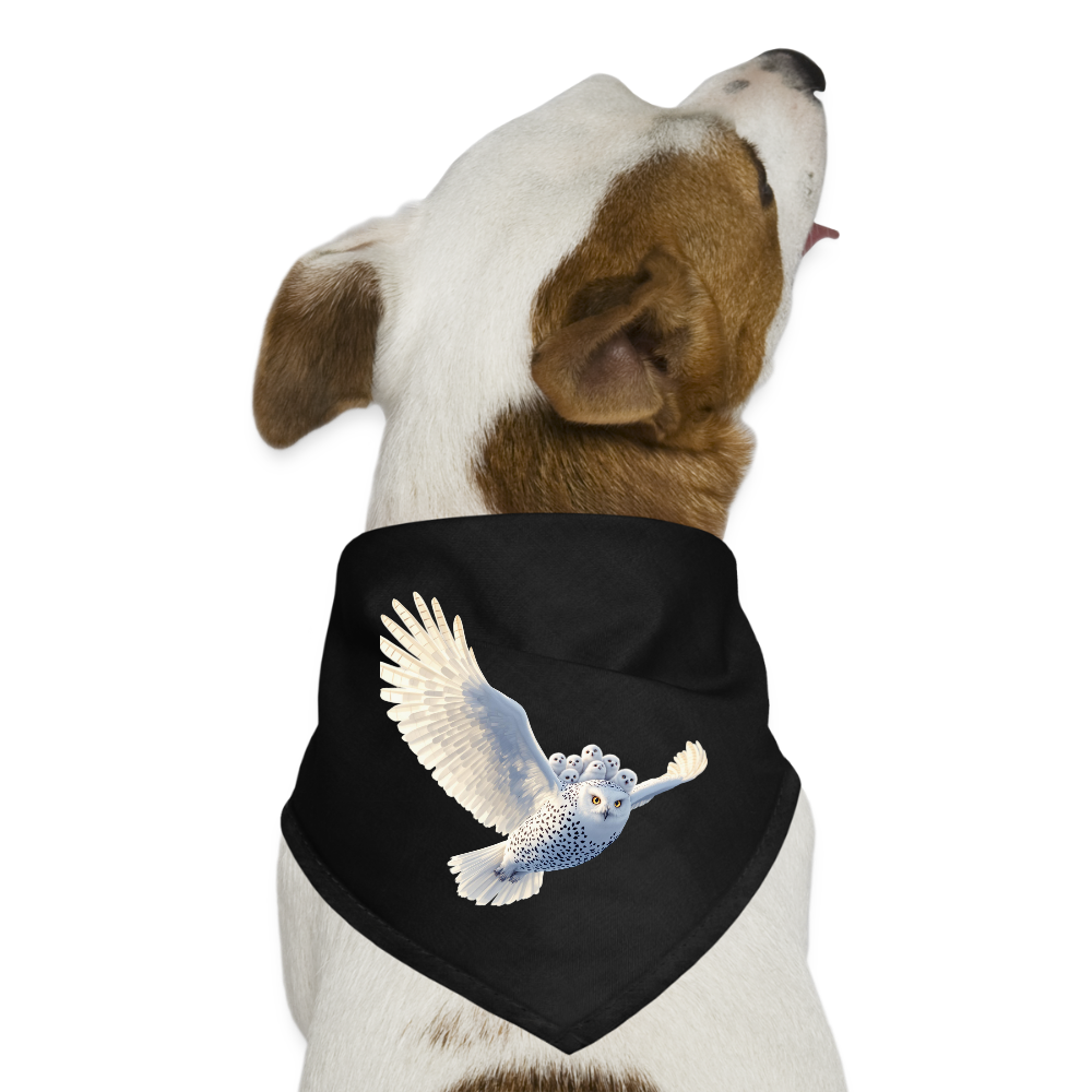 HOOTIE Dog Bandana - black