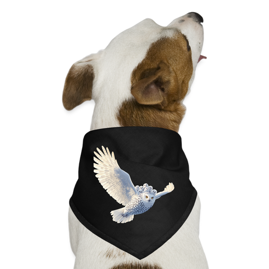 HOOTIE Dog Bandana - black