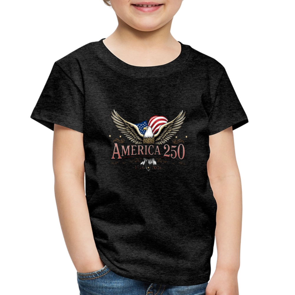 AMERICA 250 Toddler Premium T-Shirt - charcoal grey