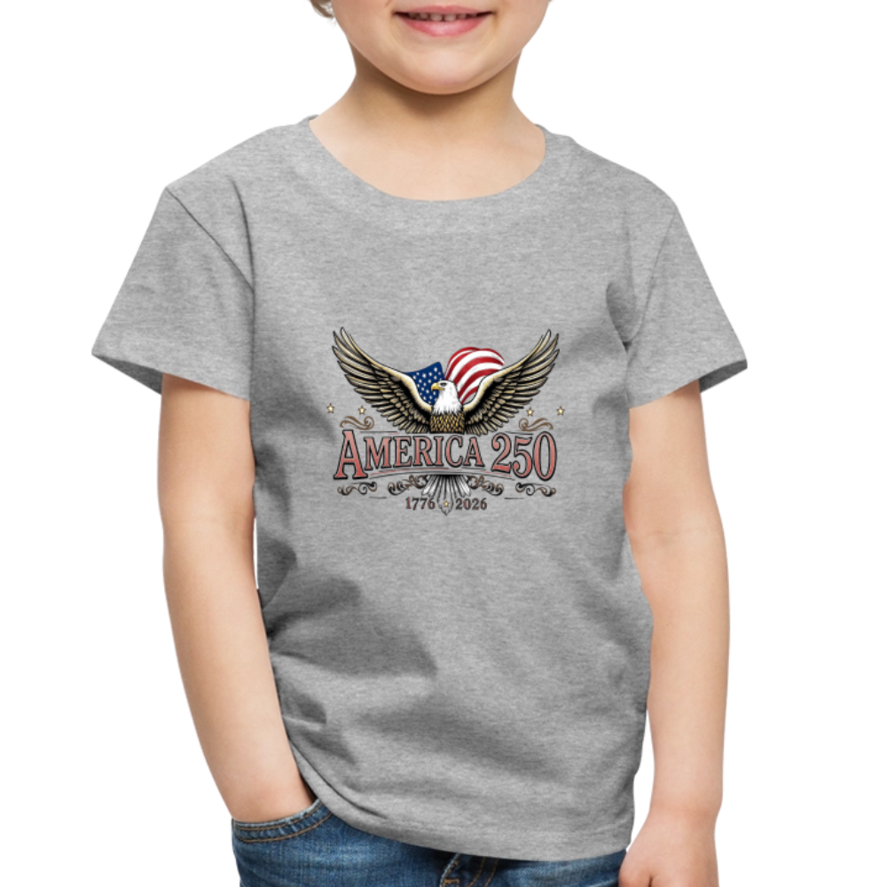 AMERICA 250 Toddler Premium T-Shirt - heather gray