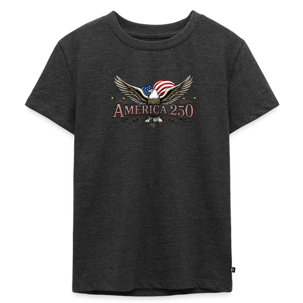 AMERICA 250 Toddler Premium T-Shirt - heather anthracite