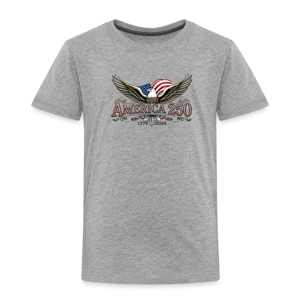 AMERICA 250 Toddler Premium T-Shirt - heather gray