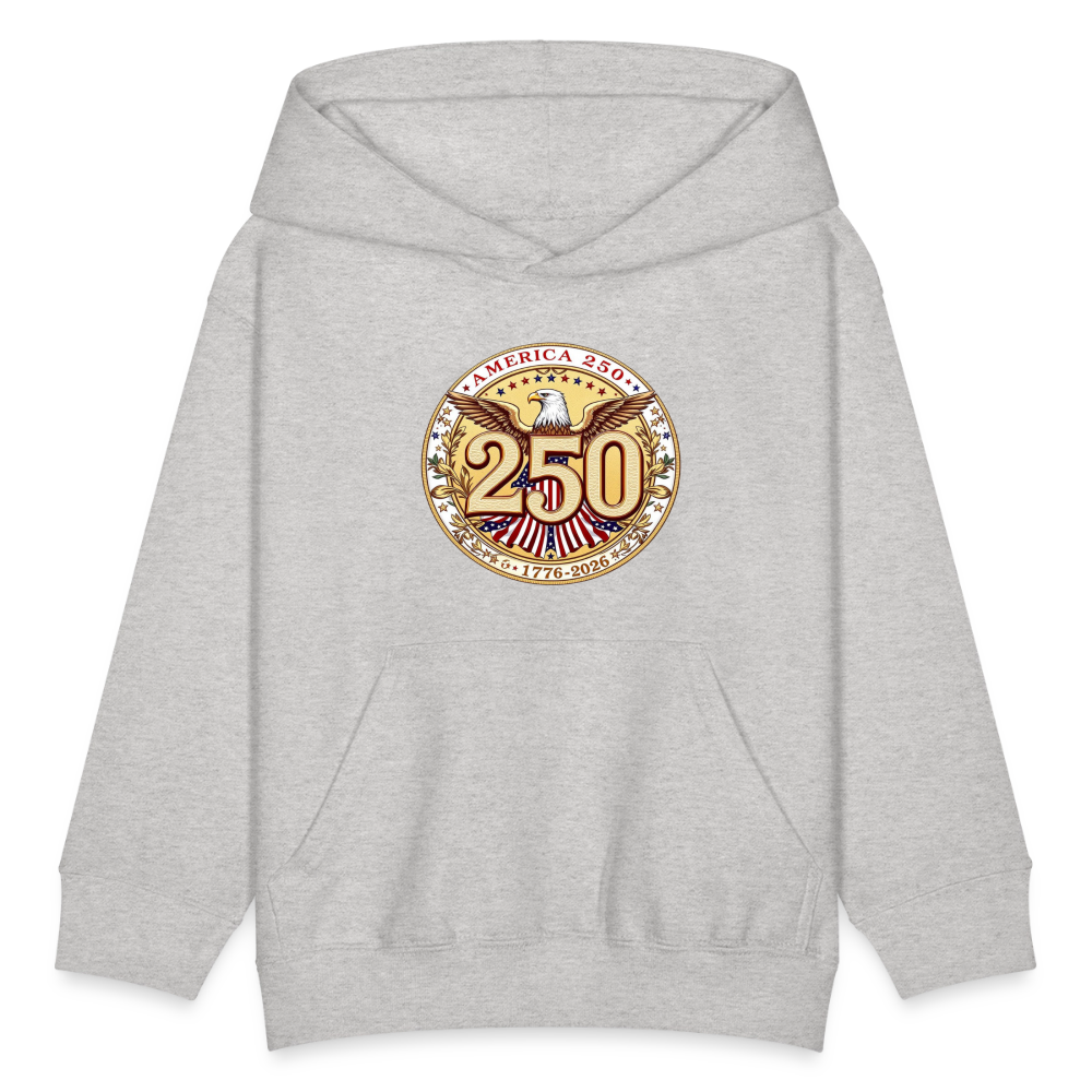 AMERICA 250 Kids' Hoodie - heather gray