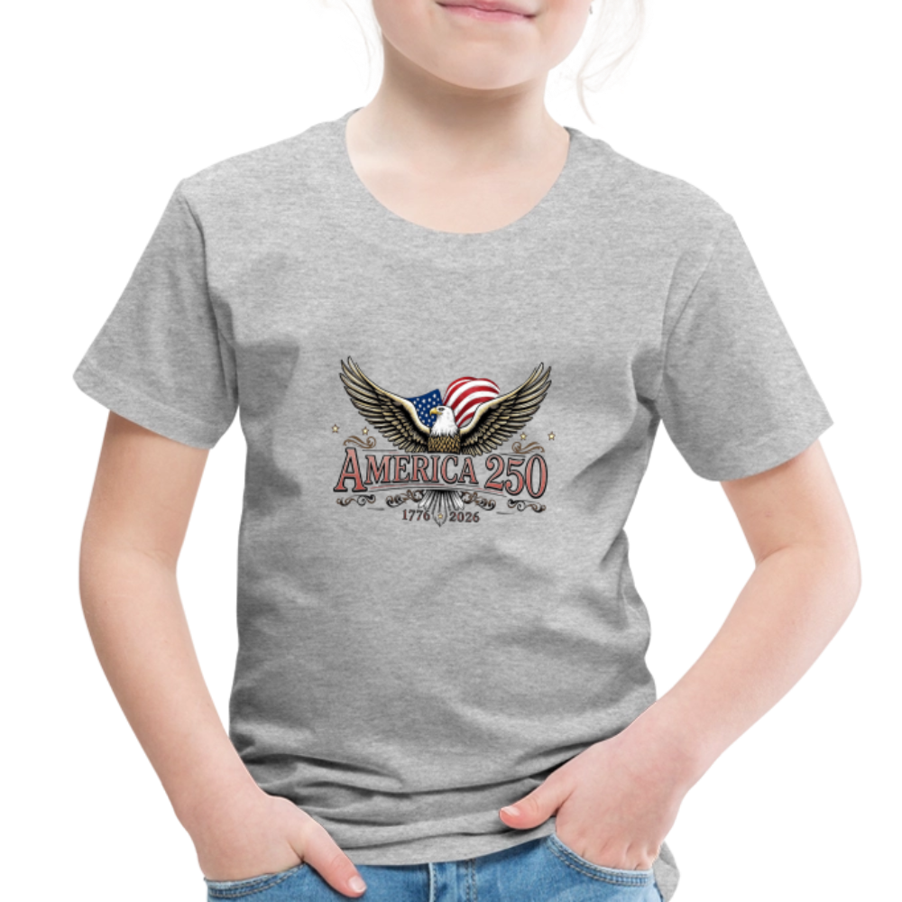 AMERICA 250 Toddler Premium T-Shirt - heather gray