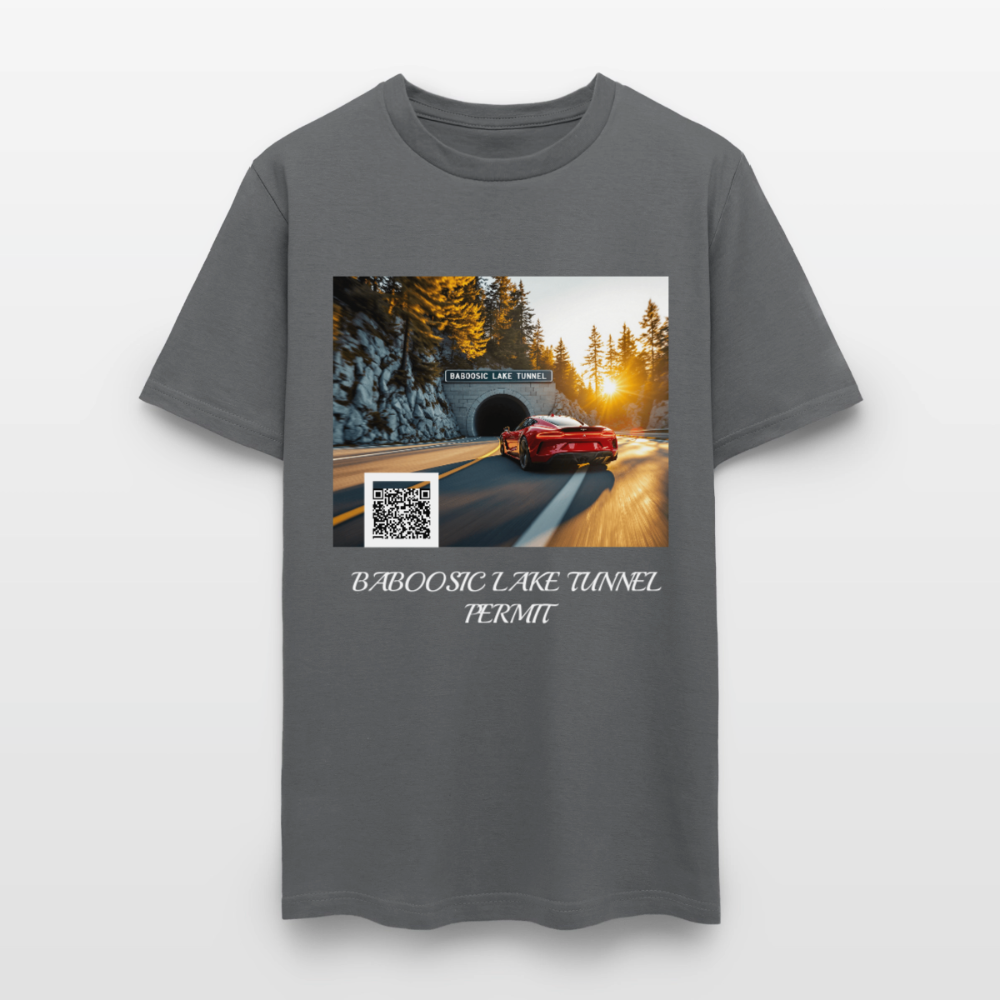 BABOOSIC LAKE TUNNEL PERMIT TEE - charcoal