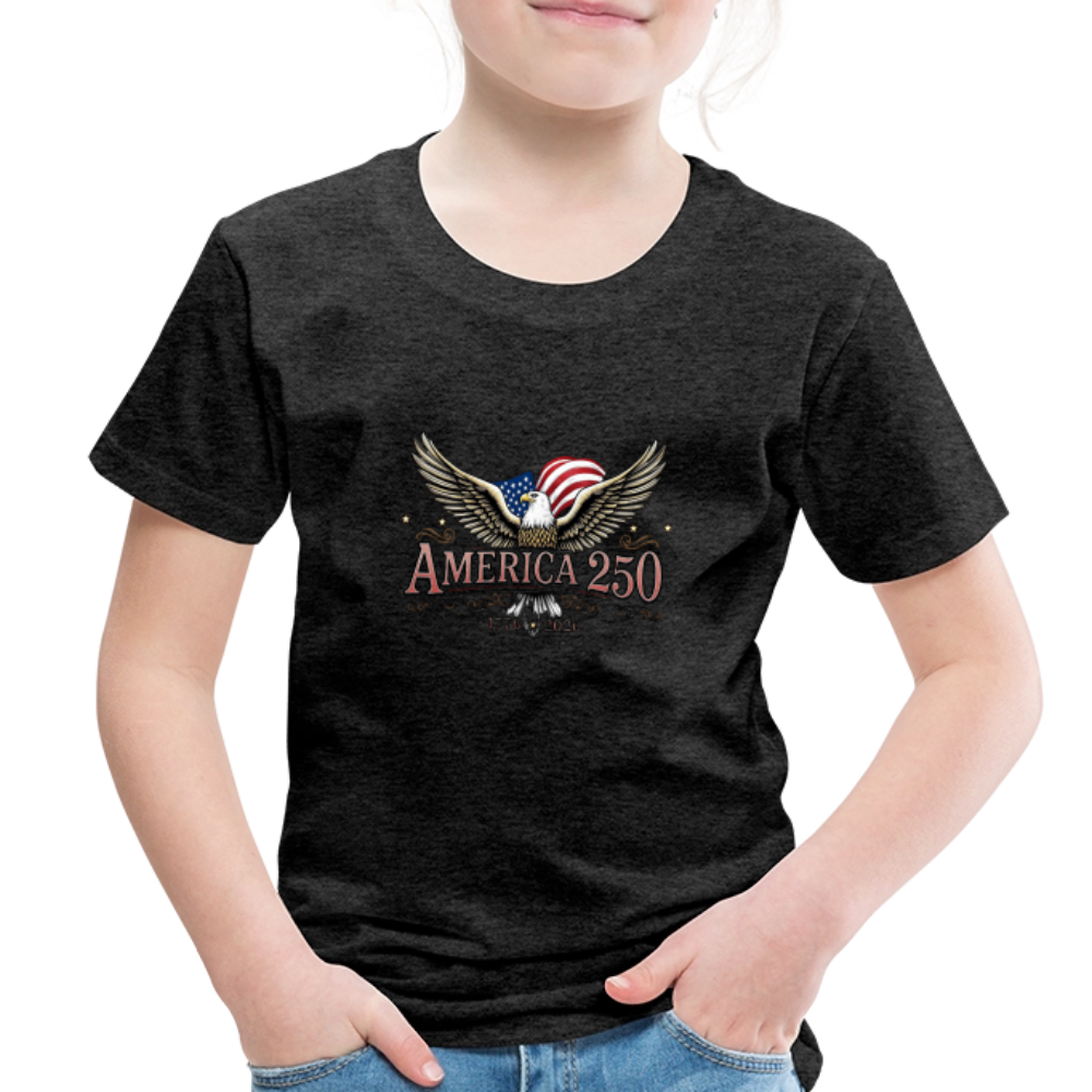 AMERICA 250 Toddler Premium T-Shirt - charcoal grey