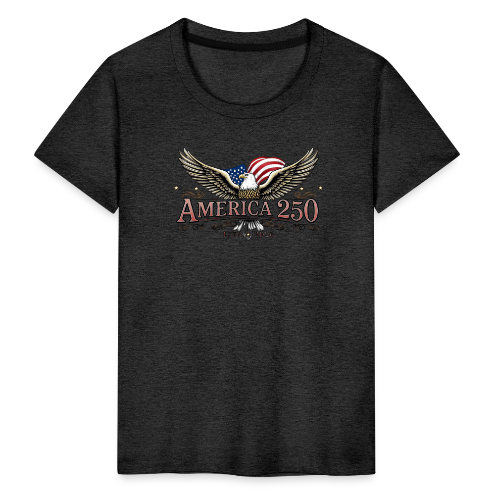 AMERICA 250 Toddler Premium T-Shirt - charcoal grey