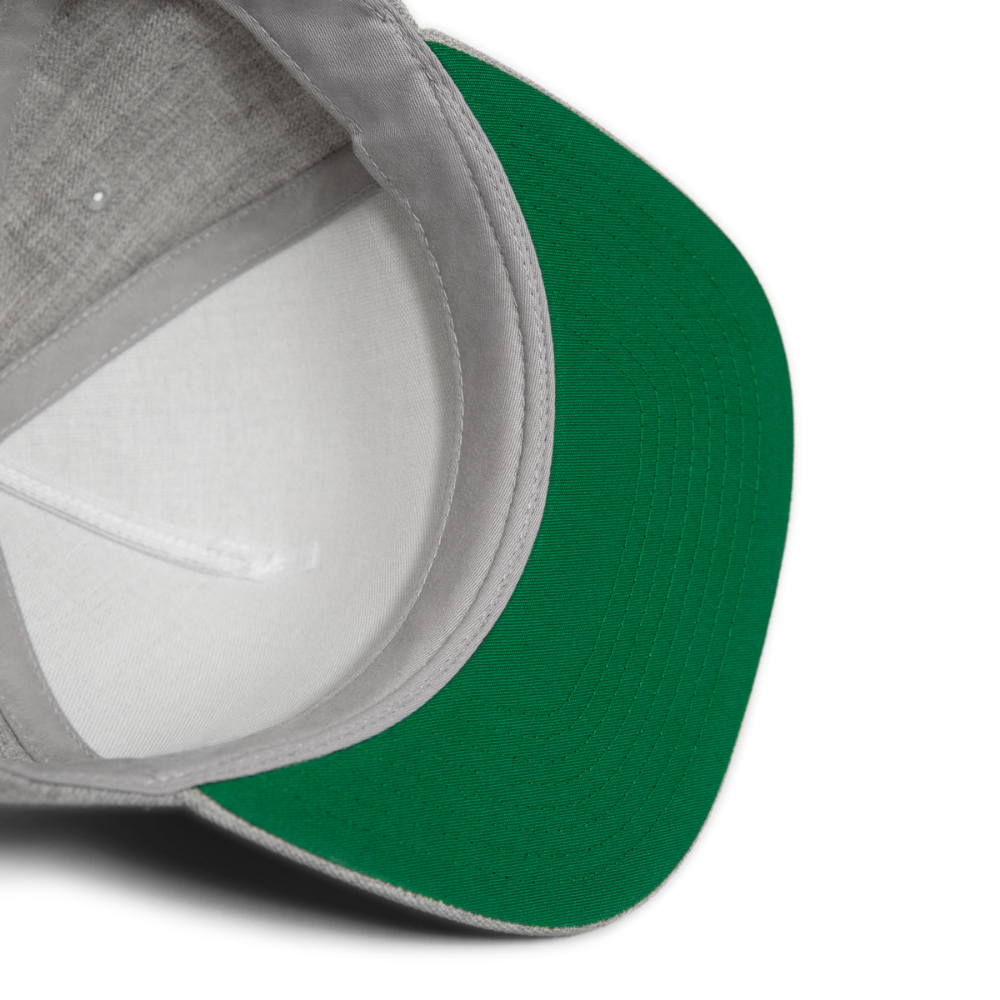 SIE CAPS "CELEBRATE FAMILY" Original Snapback Baseball Cap - heather gray