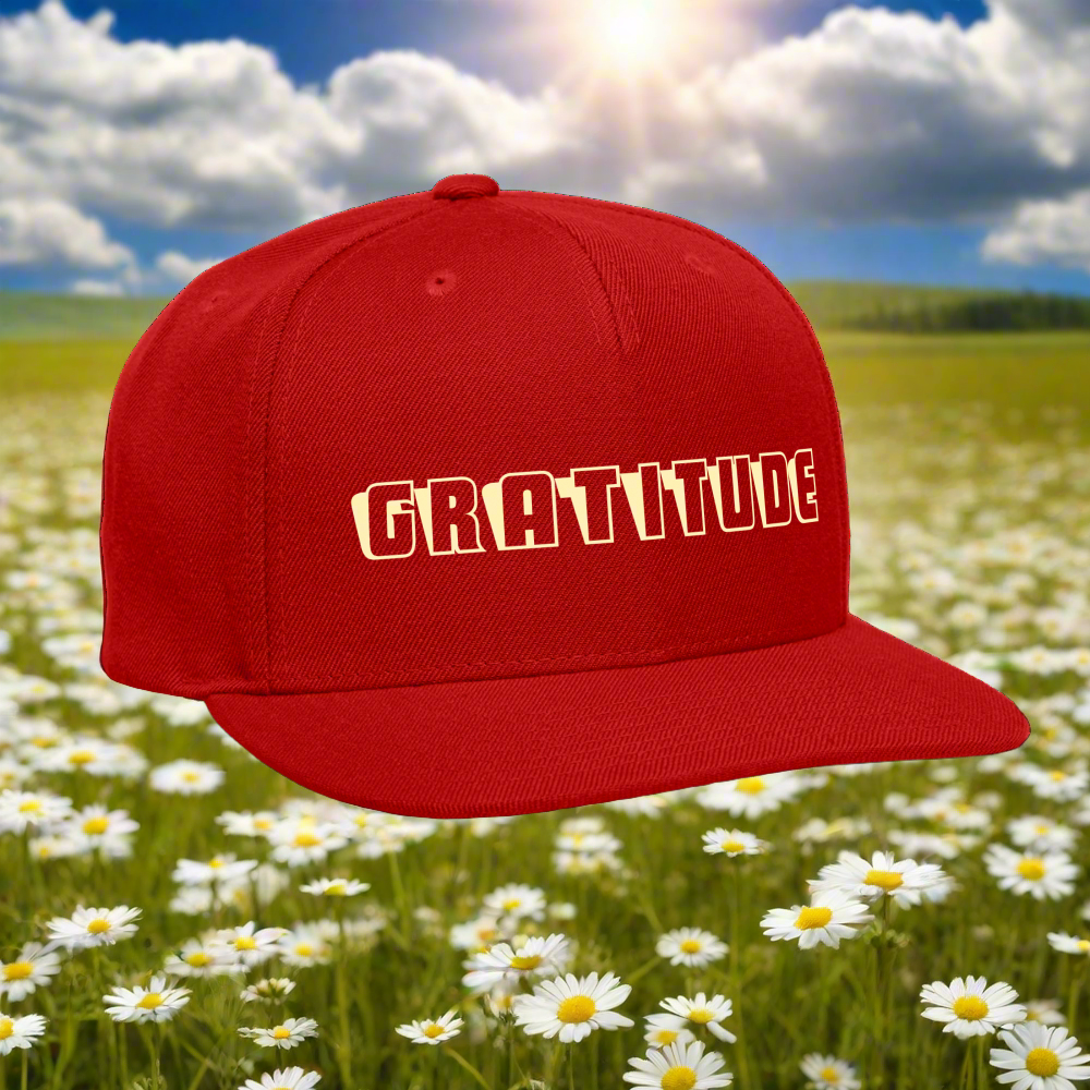 SIE CAPS "GRATITUDE" Original Snapback Baseball Cap - red