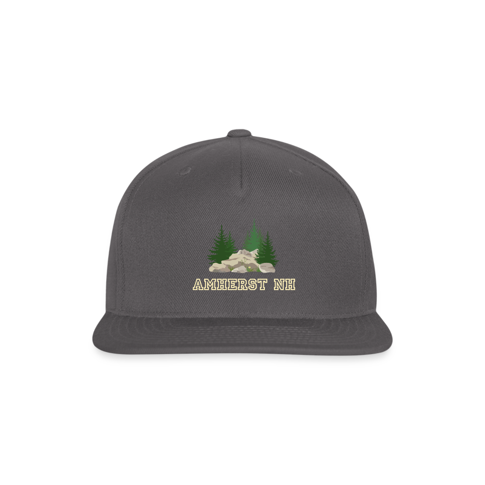 SIE CAPS "AMHERST NH" Original Snapback Baseball Cap - dark grey