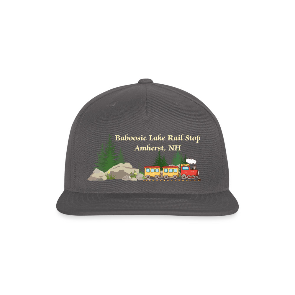 SIE CAPS "BABOOSIC LAKE RAIL STOP" Snapback Baseball Cap - dark grey