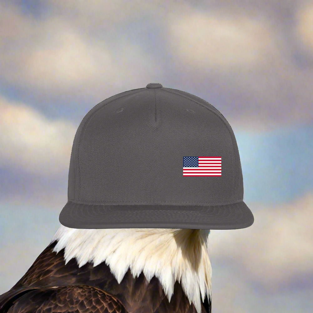 "USA FLAG" Authentic Snapback Baseball Cap - dark grey