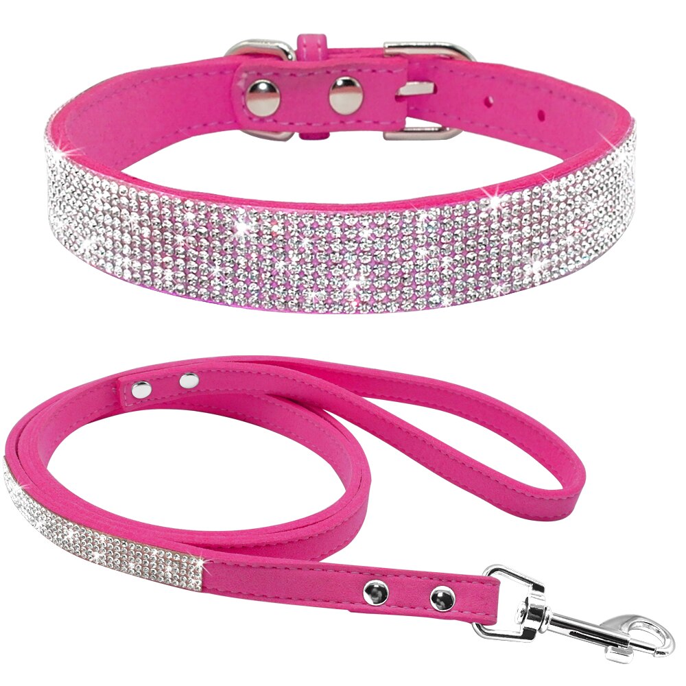 Pet Collar Leash Set   "Puttin on the Ritz"