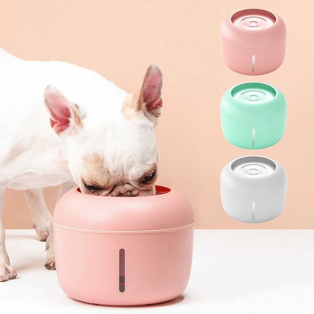 USB Powered Pet Water Bowl