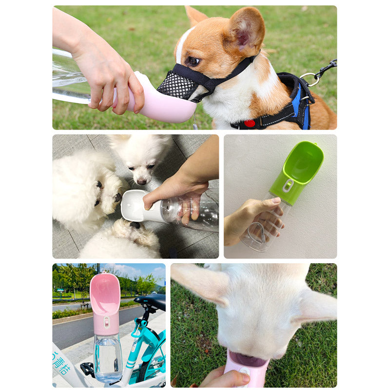 Pet Dog Water Bottle & Feeder