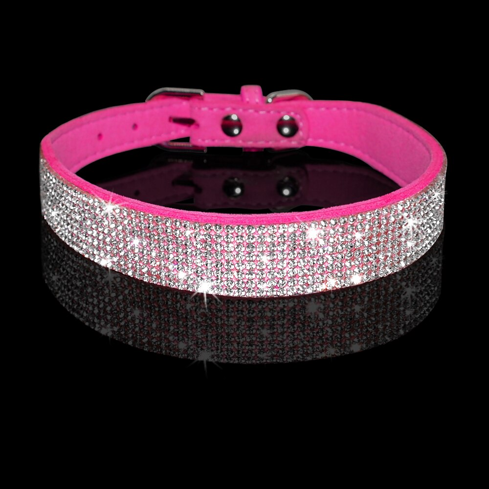 Pet Collar Leash Set   "Puttin on the Ritz"