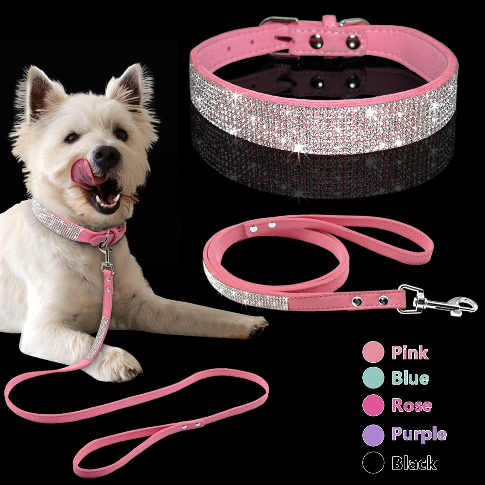 Pet Collar Leash Set   "Puttin on the Ritz"